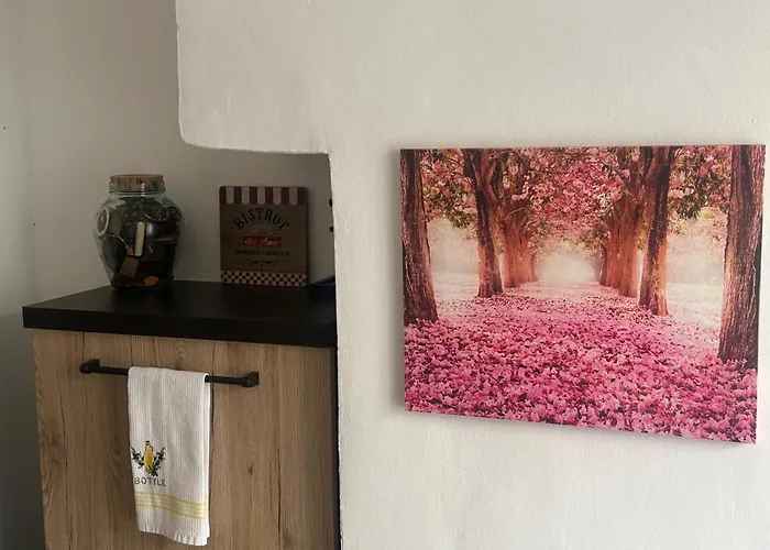 Bed and Breakfast Sakura Via Napione Torino
